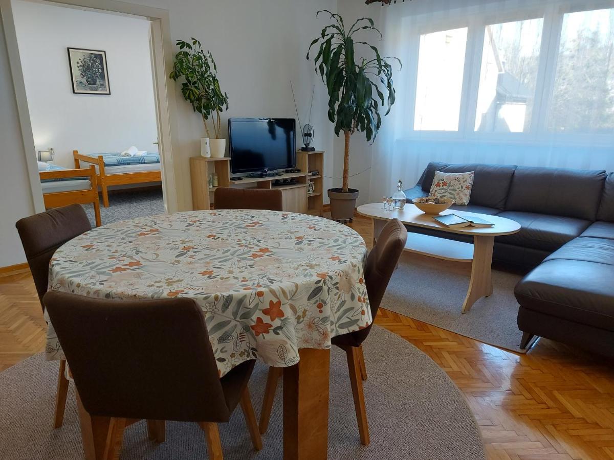 Apartment Tince Delnice